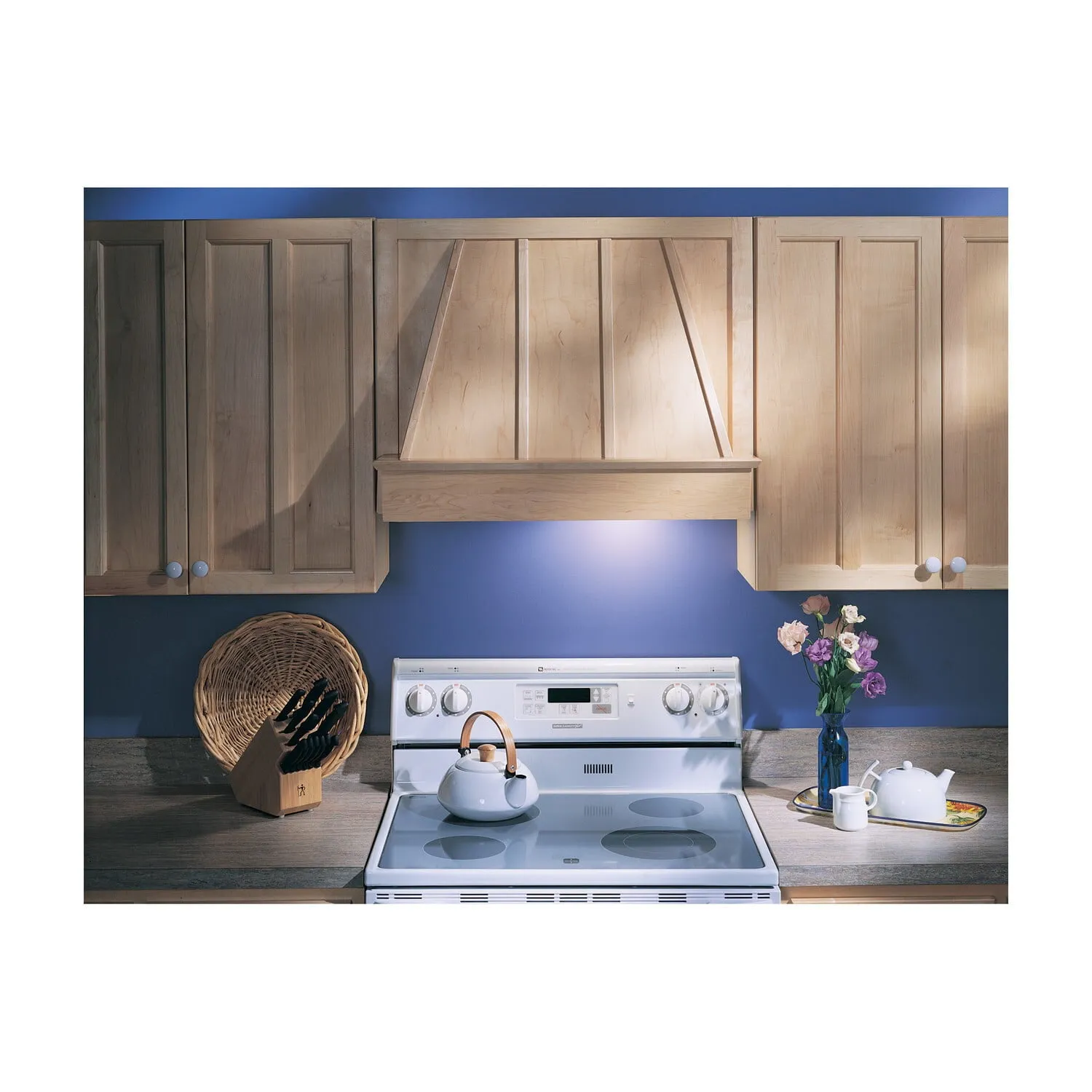 Broan PM250 Broan?? 20-1/2-Inch Custom Range Hood Power Pack, Silver Finish, 250 Cfm