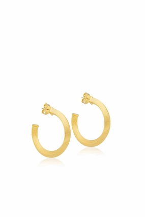 Limited Time Hot Deal Cleo Hoops
