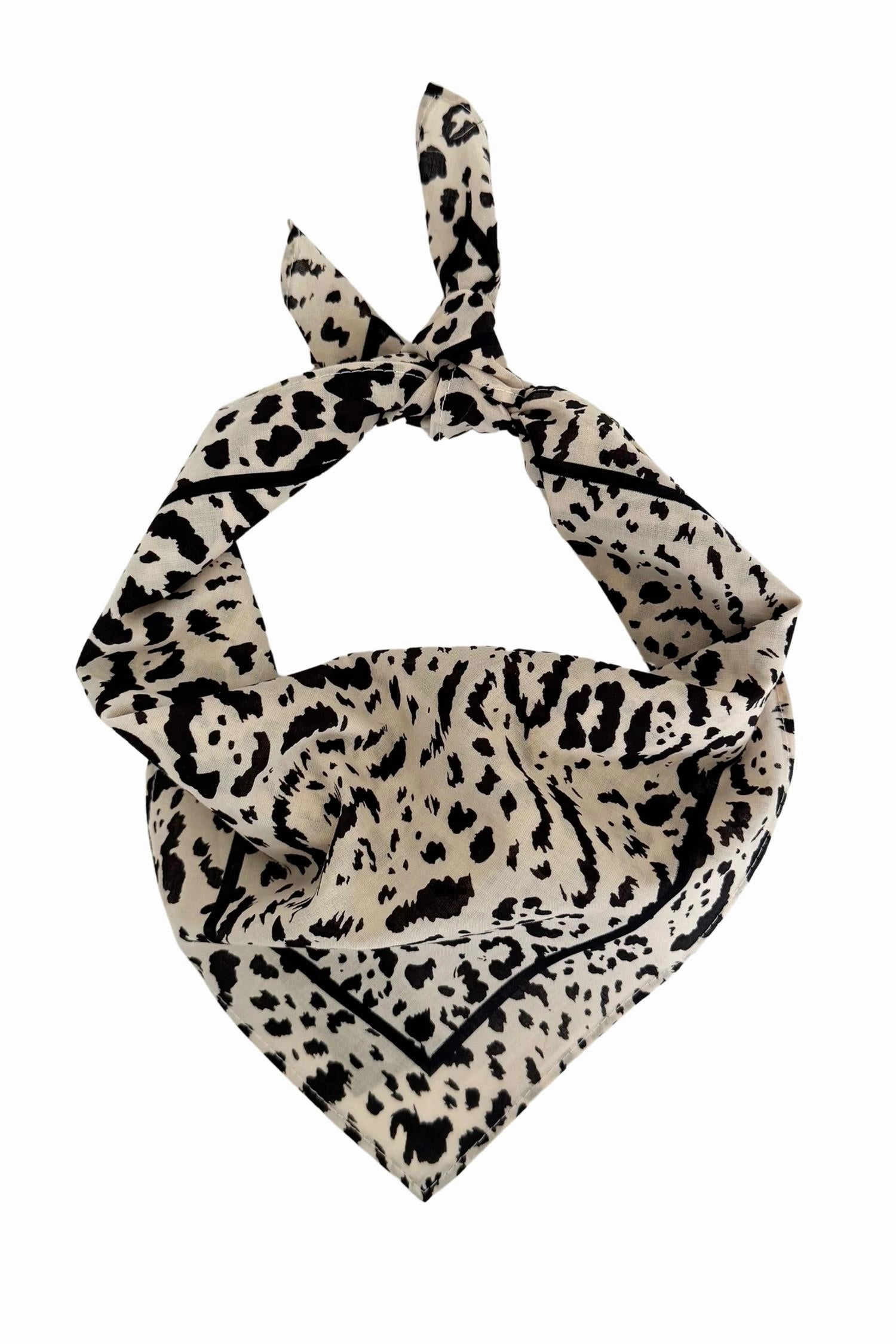 Cotton Leo Scarf 55 Cm. Sand&Black Hot Offer Frenzy