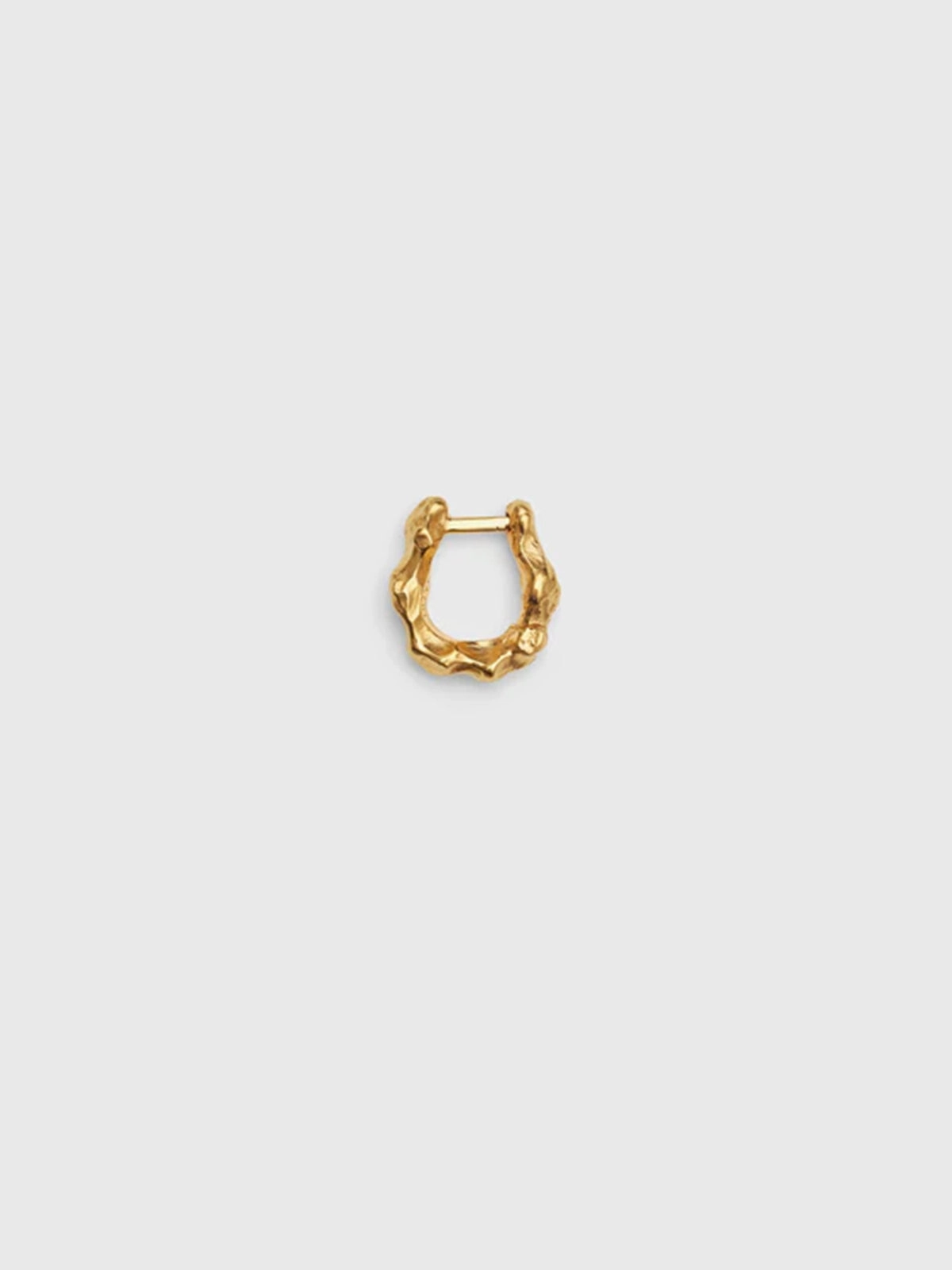 Deal of the Day Leonora Earring With Gold Plating