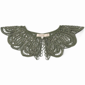 Special Steal Event Trending Now Discount Fliink Beetle Claro Collar