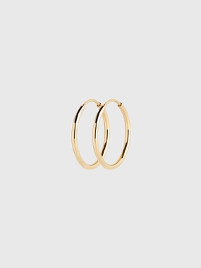 Senorita 25 Hoop Earrings With Gold Plating Hot Offer Inside