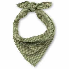 Trending Hot Picks Dont Wait! Save Today Lalaby Green Check Vera Scarf