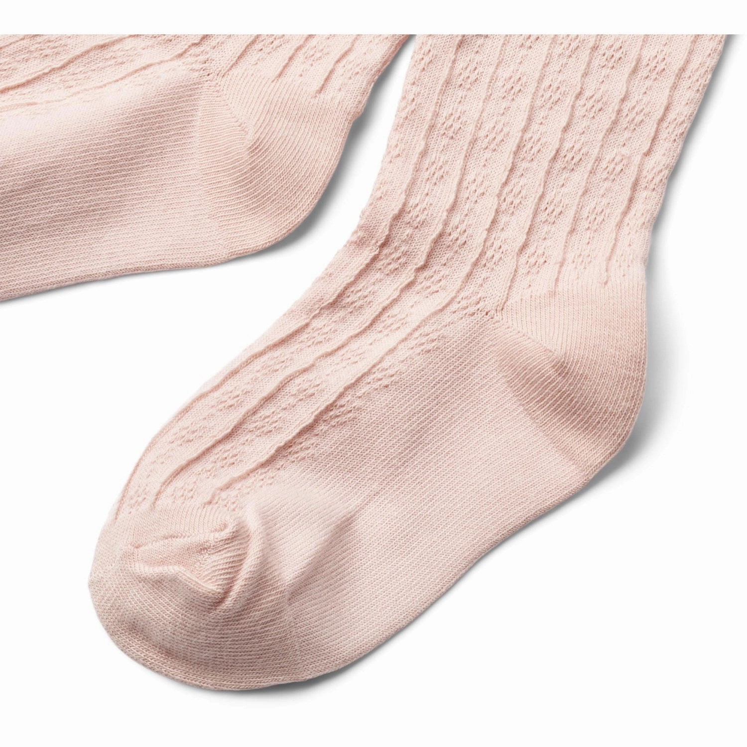 Big Clearance Event Wheat Powder 2 Pk Izzy Pointelle Tights