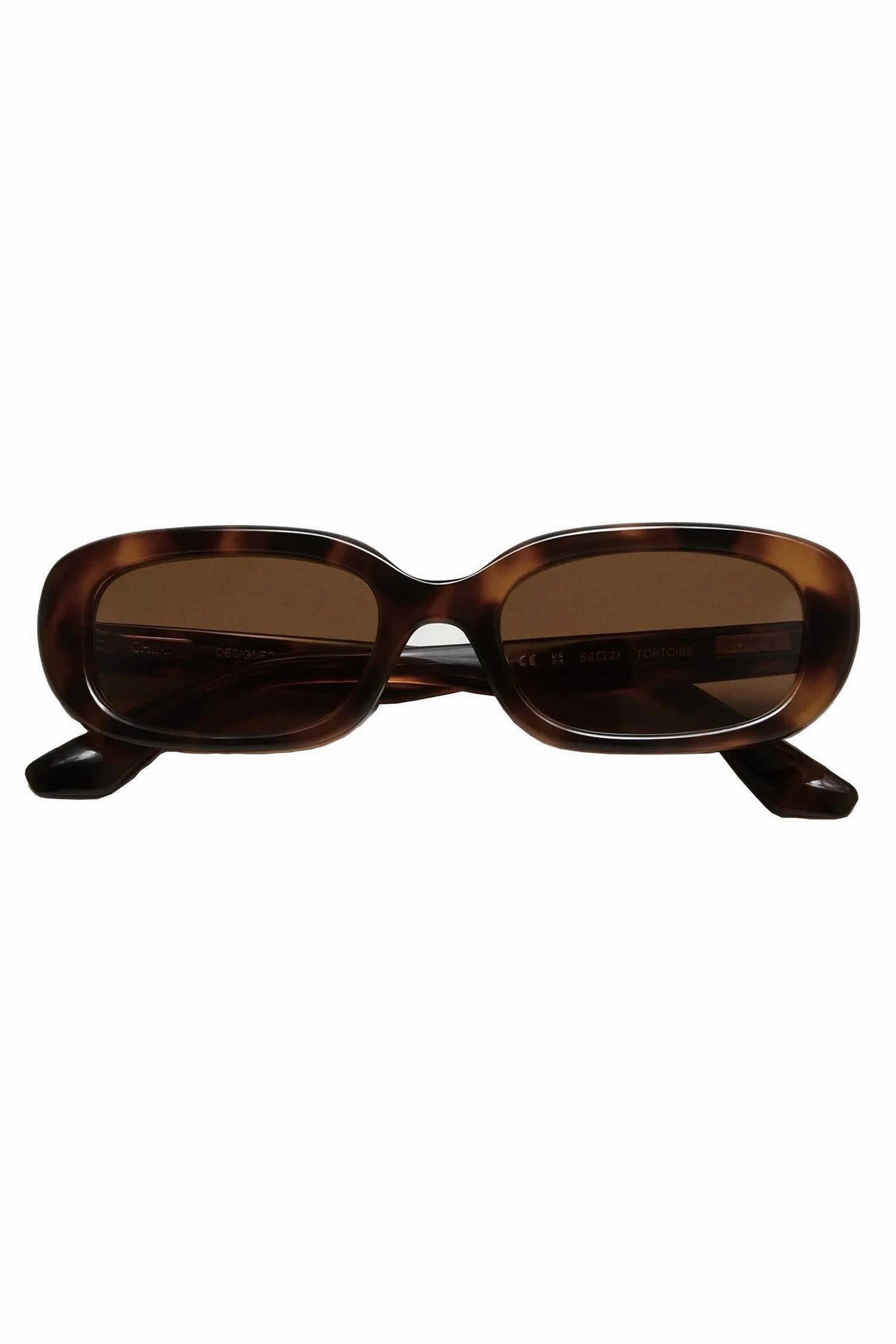 12 Tortoise Todays Best Deal