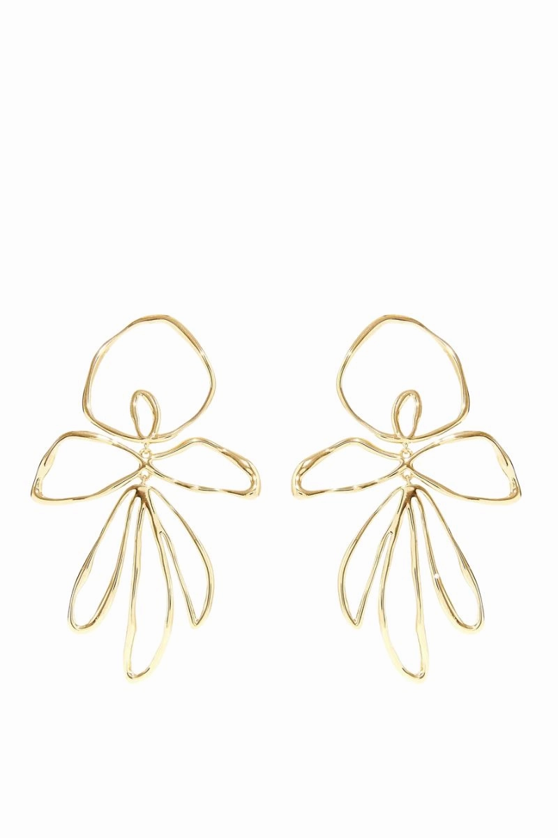 Shop & Grab Offer Limited Time Hot Deal Sade Earrings