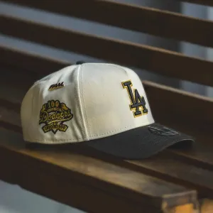 Hot Picks Today Big Sale Today New Era 9Forty A-Frame Los Angeles Dodgers 100Th Anniversary Two Tone / Grey Uv Snapback