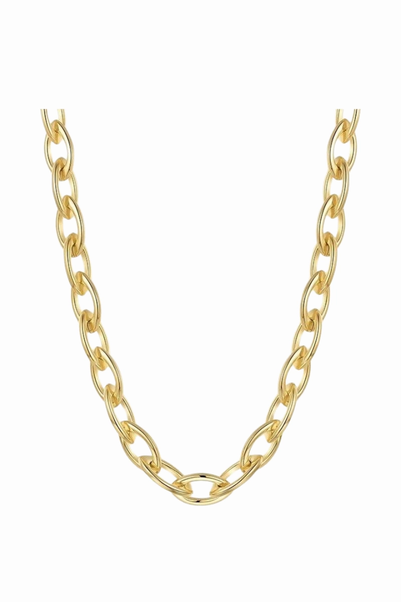 Today Only Savings Frankie Link Necklace