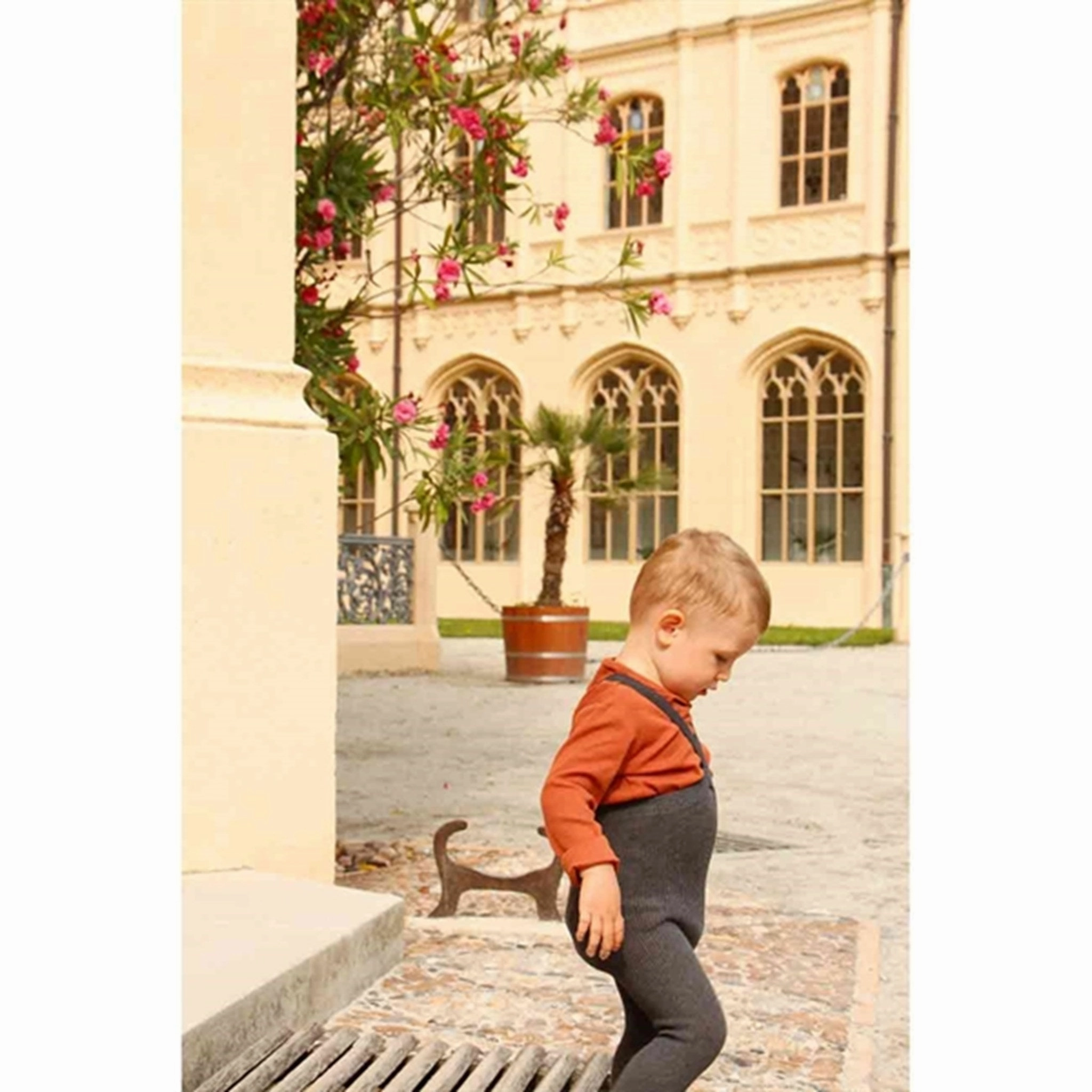 Grab Your Hot Pick Silly Silas Footed Tights Dark Grey