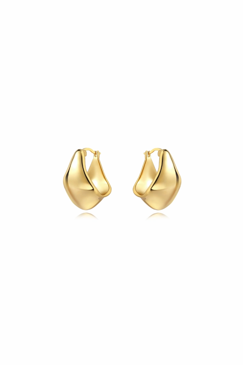 Carson Hoop Earring Shop the Savings