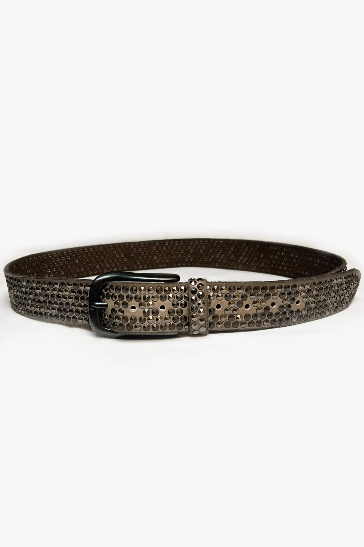 Studded Belt - Taupe Hot Sale Today