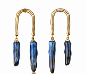 Limited Offer Alert Horseshoe Earrings
