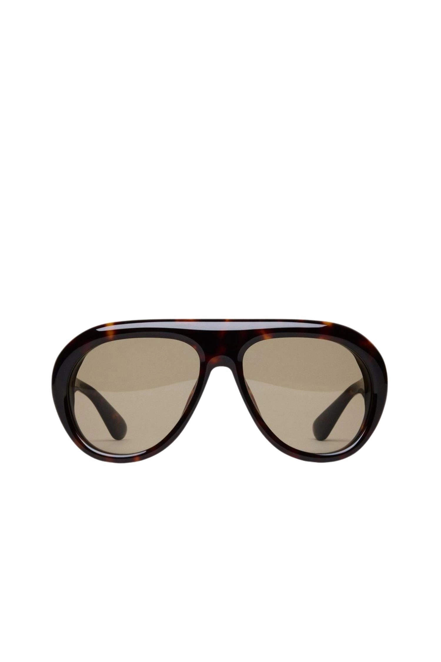 Tony Tortoise/Green Special Online Offer Hot Pick of the Day