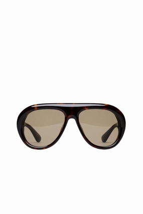 Tony Tortoise/Green Special Online Offer Hot Pick of the Day